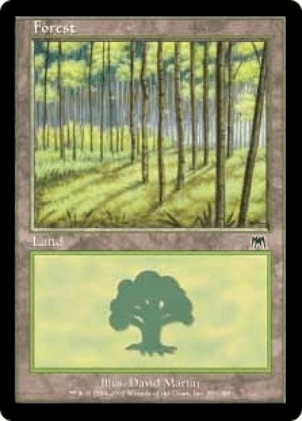 画像1: 《Foil》Forest/森《350》 (1)