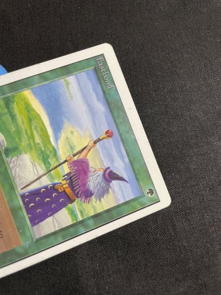 画像3: 《実物写真掲載商品》Fastbond《状態:MP》#1095 (3)