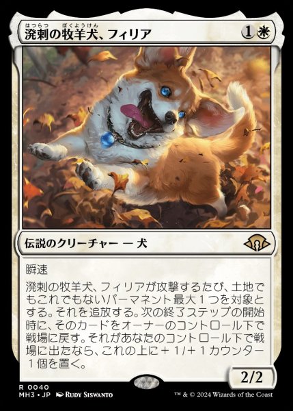 画像1: Phelia,Exuberant Shepherd/溌剌の牧羊犬、フィリア《040》 (1)