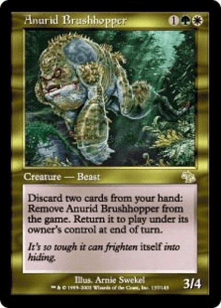 画像1: 《Foil》Anurid Brushhopper/藪跳ねアヌーリッド (1)