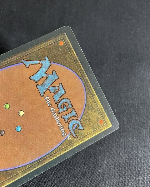 画像3: 《実物写真掲載商品》Tundra《状態:MP》#1110 (3)