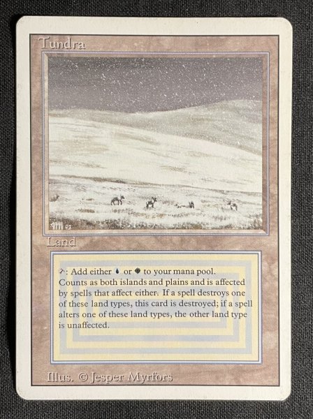 画像1: 《実物写真掲載商品》Tundra《状態:MP》#1110 (1)