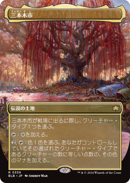 画像1: 《ボーダーレス》《339》Three Tree City/三本木市 (1)