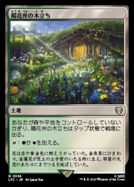 画像1: Sunpetal Grove/陽花弁の木立ち (1)