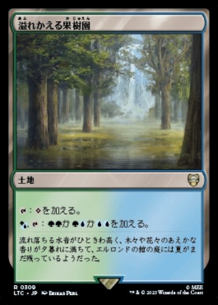 画像1: Flooded Grove/溢れかえる果樹園 (1)
