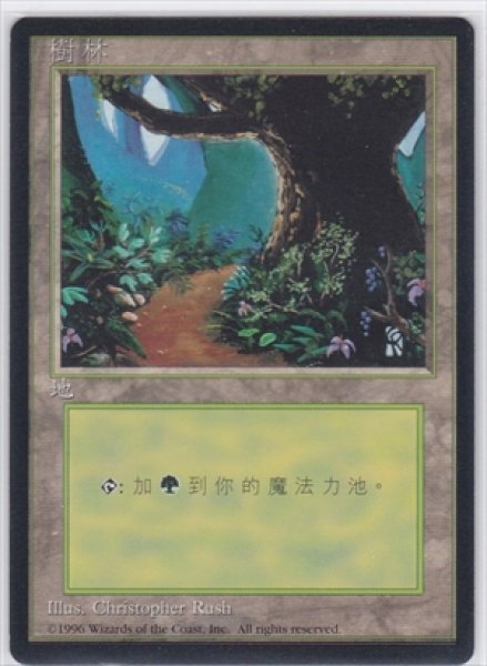 画像1: 《4版中国語黒枠》Forest/森《Path》 (1)