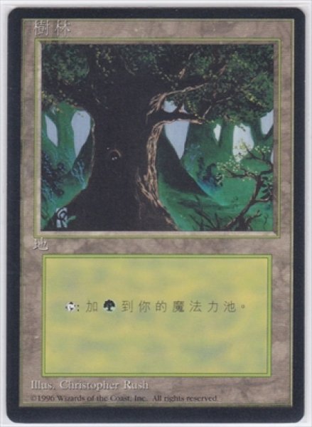 画像1: 《4版中国語黒枠》Forest/森《Dark Tree》 (1)
