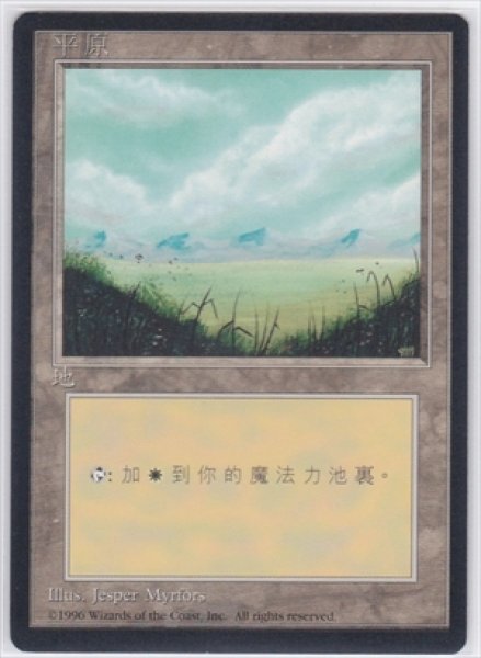 画像1: 《4版中国語黒枠》Plains/平地《Light》 (1)