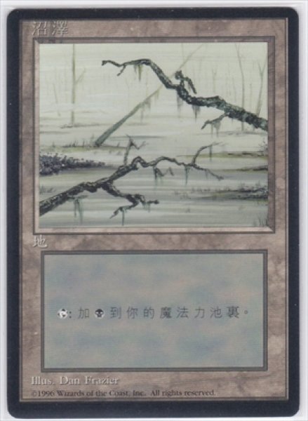 画像1: 《4版中国語黒枠》Swamp/沼《Two Branches》 (1)