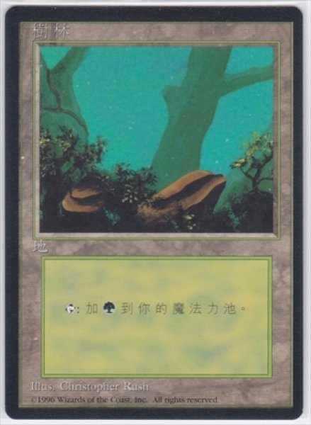 画像1: 《4版中国語黒枠》Forest/森《Tree Behind Rock》 (1)