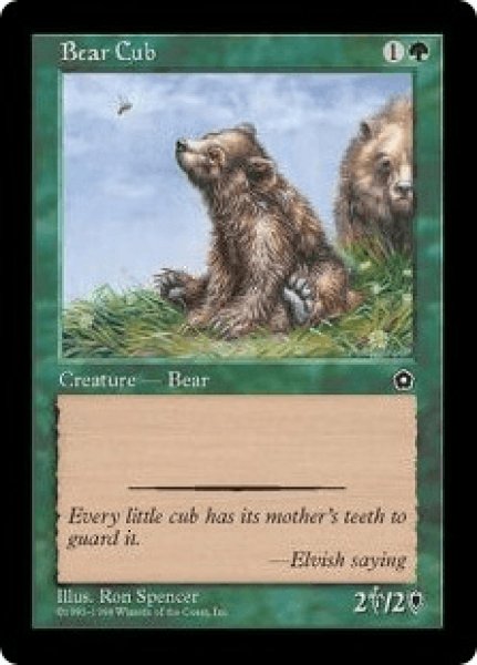 画像1: Bear Cub/仔熊 (1)