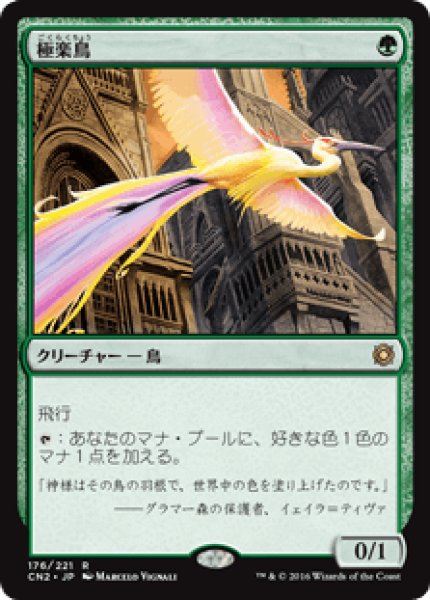 画像1: Birds of Paradise/極楽鳥 (1)