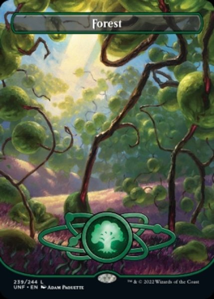 画像1: 《Foil》《ギャラクシー》Forest/森 (1)
