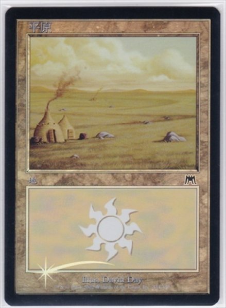 画像1: 《Foil》《中国語版》Plains/平地《334》 (1)