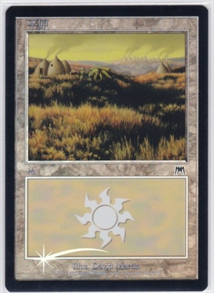 画像1: 《Foil》《中国語版》Plains/平地《333》 (1)
