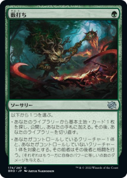 画像1: Bushwhack/薮打ち (1)