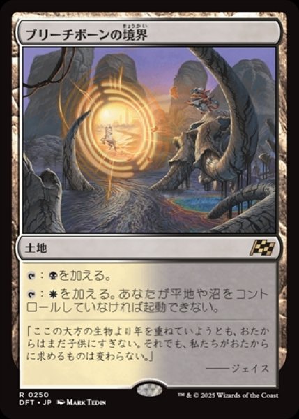 画像1: Bleachbone Verge/ブリーチボーンの境界 (1)
