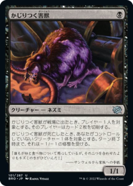 画像1: Gnawing Vermin/かじりつく害獣 (1)