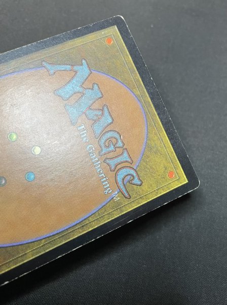 画像5: 《実物写真掲載商品》《Foil》Deranged Hermit/錯乱した隠遁者 《状態:HP》#1131 (5)