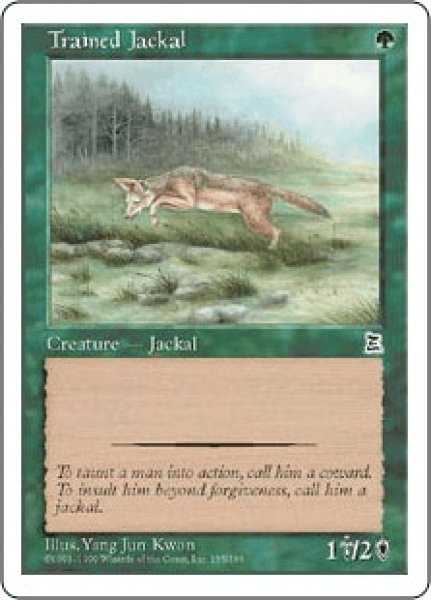 画像1: Trained Jackal/訓練された野犬 (1)