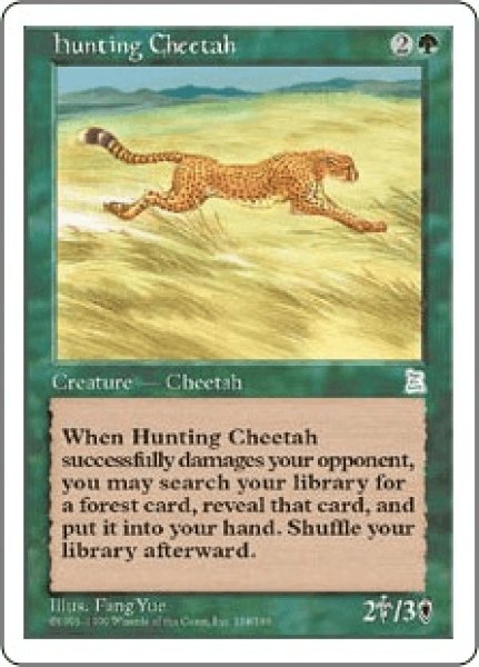 画像1: Hunting Cheetah/狩りをする豹 (1)