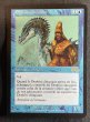 画像1: 《実物写真掲載商品》《フランス語》Gilded Drake/金粉のドレイク《状態:NM-》 #1130 (1)