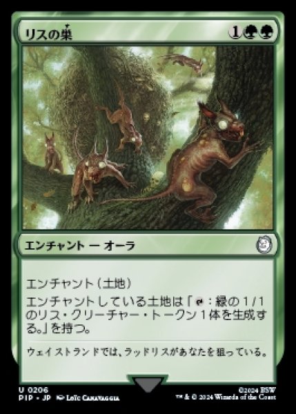 画像1: Squirrel Nest/リスの巣 (1)