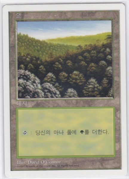 画像1: 《韓国語版》Forest/森《A》 (1)