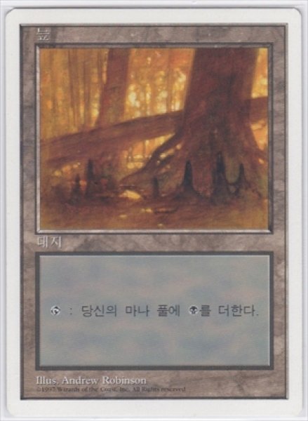 画像1: 《韓国語版》Swamp/沼《A》 (1)