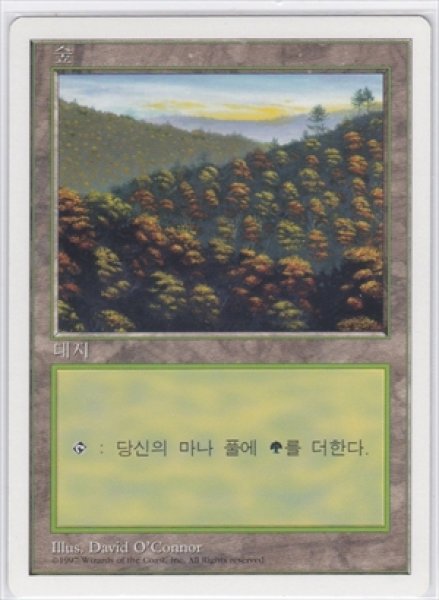 画像1: 《韓国語版》Forest/森《B》 (1)