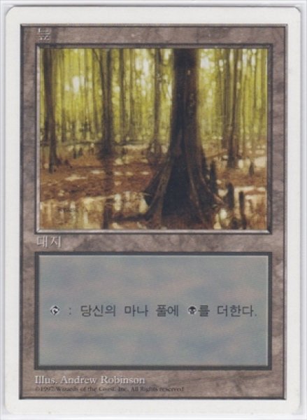 画像1: 《韓国語版》Swamp/沼《B》 (1)