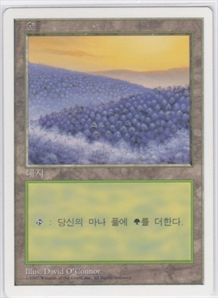 画像1: 《韓国語版》Forest/森《D》 (1)