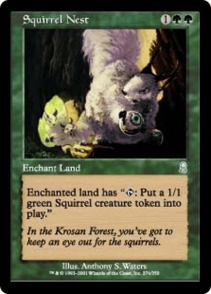 画像1: Squirrel Nest/リスの巣 (1)