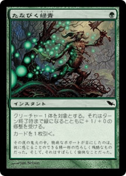 画像1: Viridescent Wisps/たなびく緑青 (1)