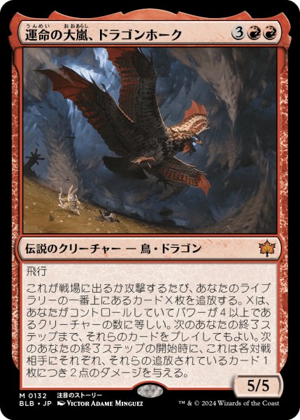画像1: Dragonhawk,Fate's Tempest/運命の大嵐、ドラゴンホーク (1)