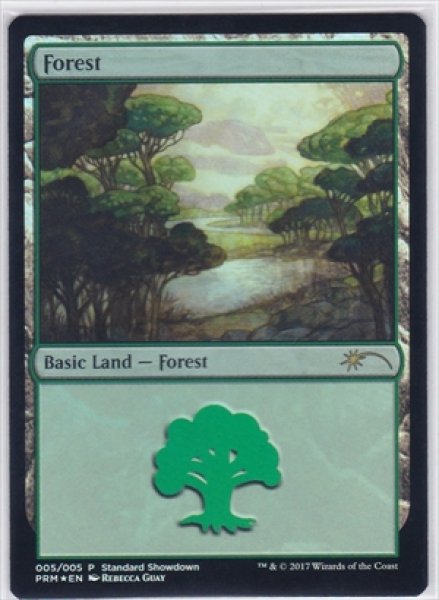 画像1: 《Foil》《ショーダウン》Forest/森 (1)