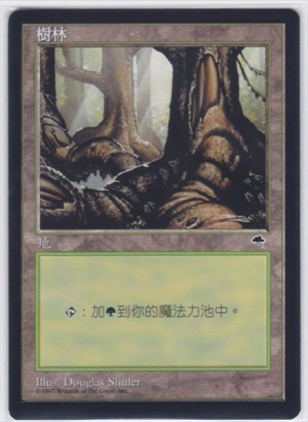 画像1: 《中国語版》Forest/森《B》 (1)