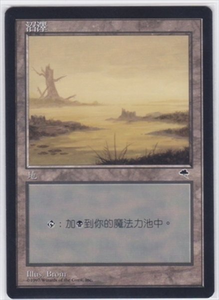 画像1: 《中国語版》Swamp/沼《D》 (1)