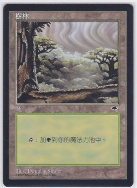 画像1: 《中国語版》Forest/森《C》 (1)