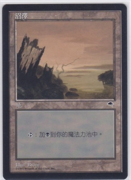 画像1: 《中国語版》Swamp/沼《A》 (1)