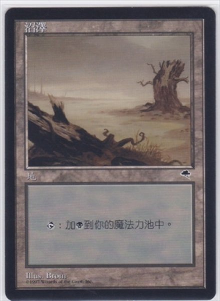画像1: 《中国語版》Swamp/沼《B》 (1)