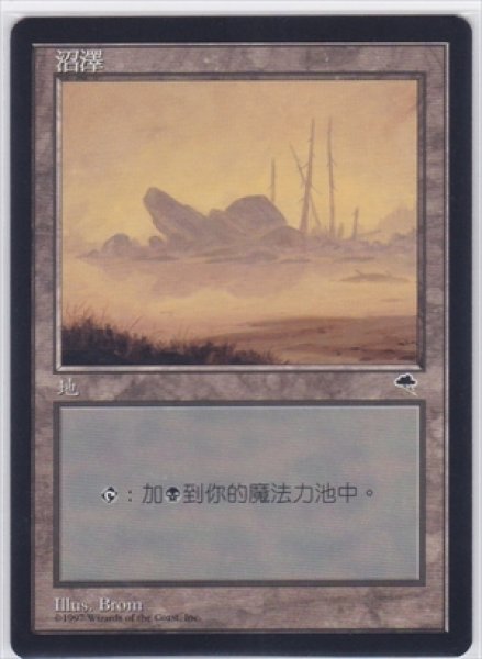 画像1: 《中国語版》Swamp/沼《C》 (1)