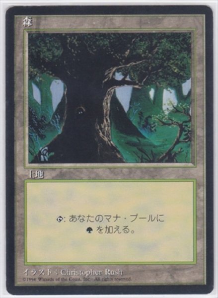 画像1: 《4版日本語黒枠》Forest/森《Dark Tree》 (1)