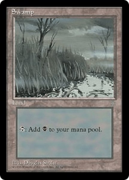 画像1: Swamp/沼(371) (1)