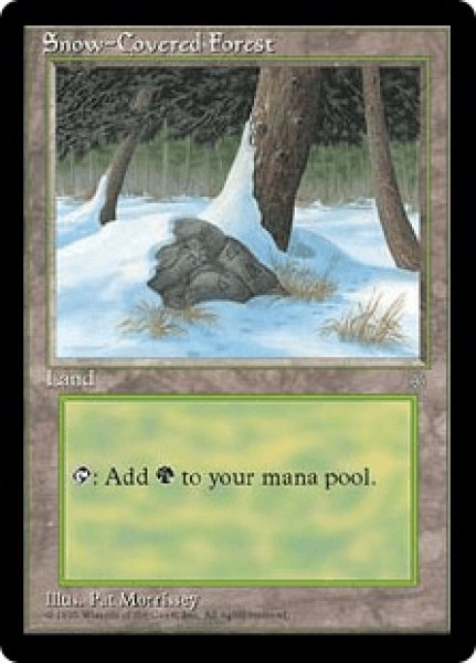 画像1: Snow-Covered Forest/冠雪の森 (1)