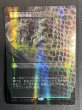 画像3: 《実物写真掲載商品》《Foil》《ドラゴンスケイル》《ボーダーレス》Verdant Catacombs/新緑の地下墓地 《状態:NM》#1141 (3)