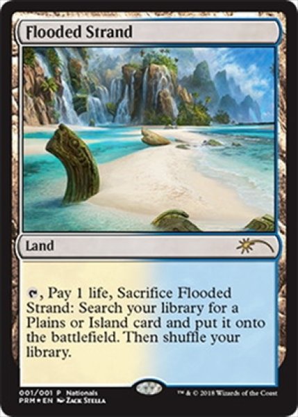 画像1: 《Foil》《Nationalプロモ》Flooded Strand/溢れかえる岸辺 (1)