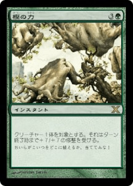 画像1: 《Foil》Might of Oaks/樫の力 (1)