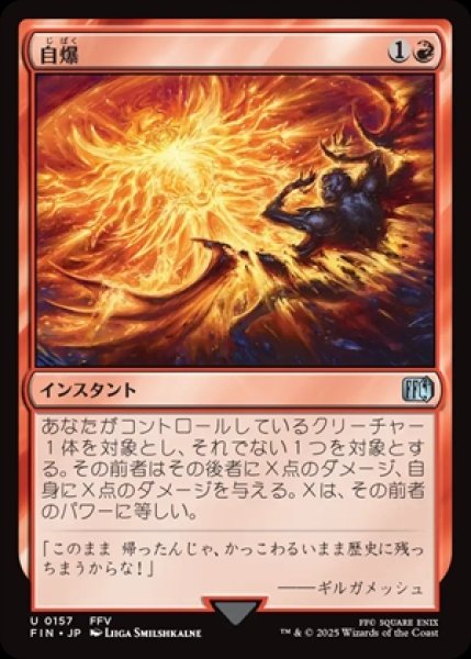 画像1: Self-Destruct/自爆 (1)