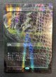 画像1: 《実物写真掲載商品》《Foil》《ドラゴンスケイル》《ボーダーレス》Verdant Catacombs/新緑の地下墓地 《状態:NM》#1141 (1)